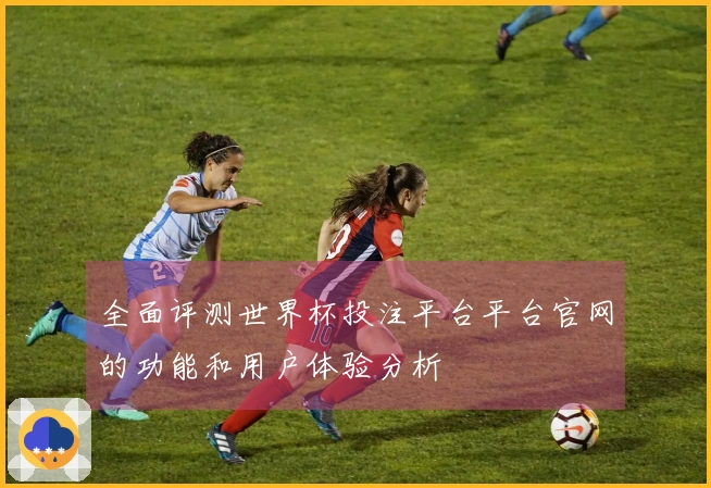 全面评测世界杯投注平台平台官网的功能和用户体验分析