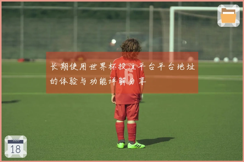 长期使用世界杯投注平台平台地址的体验与功能详解分享