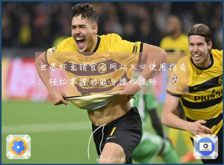 世界杯竞猜官方网站入口使用指南:轻松掌握功能与操作技巧
