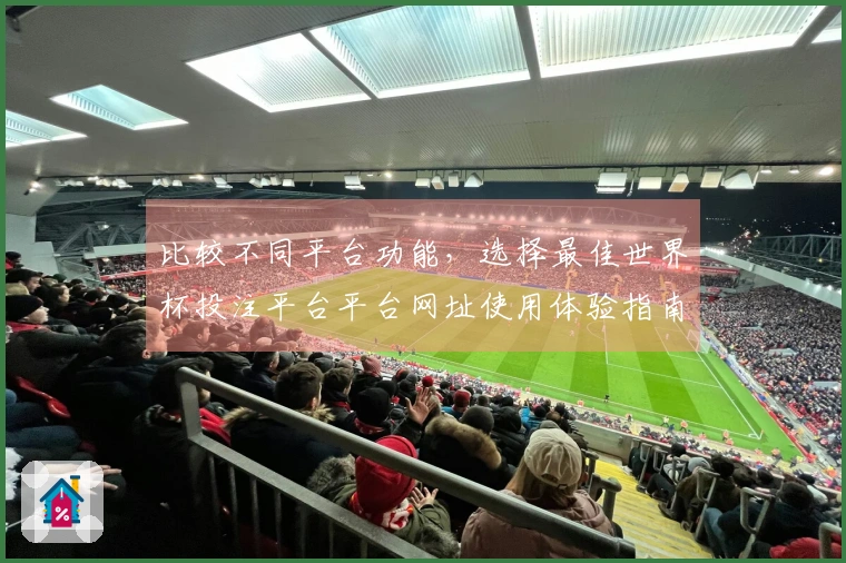 比较不同平台功能,选择最佳世界杯投注平台平台网址使用体验指南