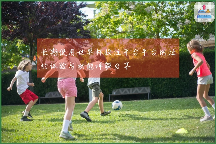 长期使用世界杯投注平台平台地址的体验与功能详解分享