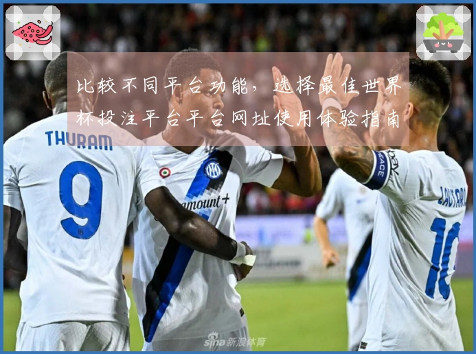 比较不同平台功能，选择最佳世界杯投注平台平台网址使用体验指南