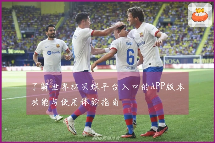 了解世界杯买球平台入口的APP版本功能与使用体验指南