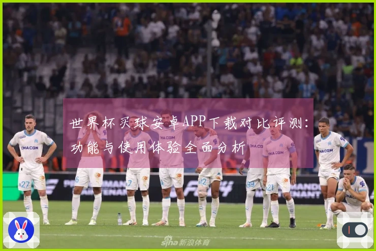 世界杯买球安卓APP下载对比评测：功能与使用体验全面分析