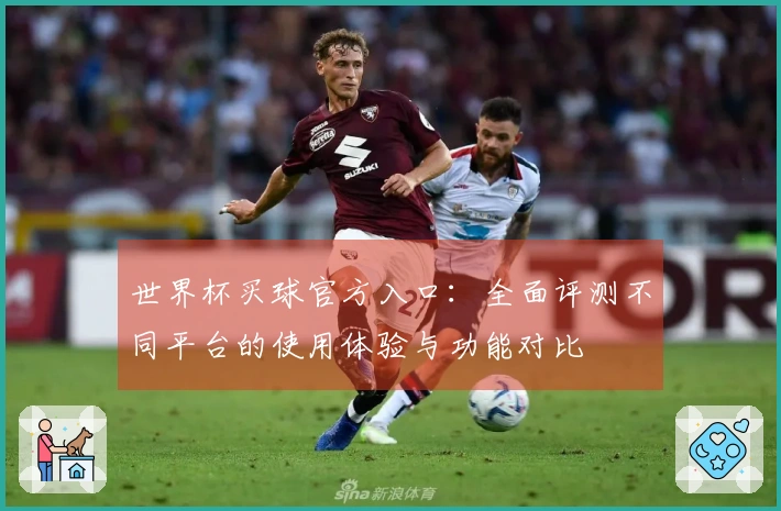 世界杯买球官方入口：全面评测不同平台的使用体验与功能对比