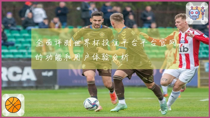 全面评测世界杯投注平台平台官网的功能和用户体验分析