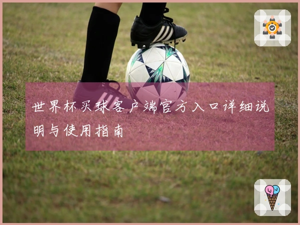 世界杯买球客户端官方入口详细说明与使用指南